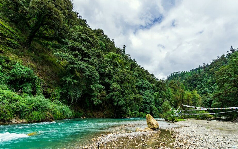 Lush Bhutanese forest representing carbon negative status